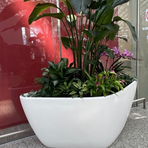 Jardinières en FRP blanches irrégulières - Pots à fleurs robustes en résine et <span class=keywords><strong>fibre</strong></span> <span class=keywords><strong>de</strong></span> <span class=keywords><strong>verre</strong></span> pour la décoration commerciale et domestique - Product Image 5