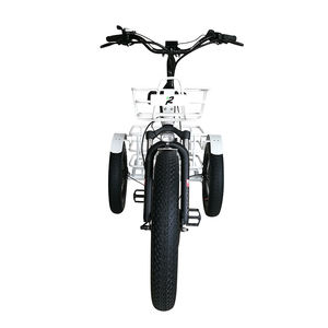 <span class=keywords><strong>ADO</strong></span> OASIS 260 Vélo <span class=keywords><strong>cargo</strong></span> électrique 48v Moteur sans balais Hybrid City Road EBike 48v Cadre en aluminium Vélo électrique pour usage familial - Product Image 1
