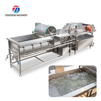 Commerciële Groente Verwerking Lijn Voedsel Apparatuur Fruit Vortex Wasmachine Aardappel Gember Industriële Wasmachine (TS-X680D)
