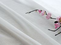 Tissu populaire en lin transparent pour rideaux