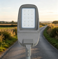 Nouvelle conception de lampadaires LED AC IP65 500W/100W pour l'extérieur