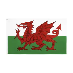 Klaar Om 100% Polyester 3x5ft Voorraad Verenigd Koninkrijk Welsh Wales Vlag Te Verzenden