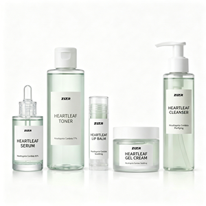 Ensemble de soins de la peau Pore Heartleaf 5 pièces, Houttuynia Cordata, kit de minimisation des pores et de contrôle du sébum pour les peaux grasses et acnéiques - Product Image 1