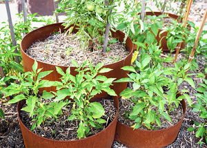 Jardinières carrées modernes en acier Corten pour l'extérieur, pots de fleurs de jardin au design minimaliste, finition rustique pour plantes vertes et fleurs - Product Image 3
