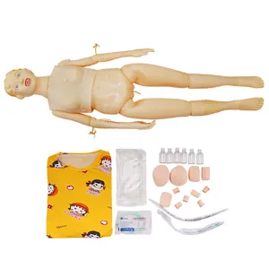Hot Sale Medical Biological Anatomical Structure Model PVC Nursing Training Female