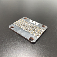 Matrices de modules Led COB UVA personnalisées 395nm 405nm 365nm substrat en nitrure d'aluminium lumière ultraviolette perles de lampe à lentille en quartz