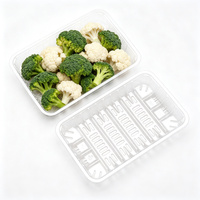 Barquette alimentaire rectangulaire en plastique PET transparent, épaisseur 0,3 mm, pour salades, tomates cerises, champignons, pois, brocoli - Vente en gros