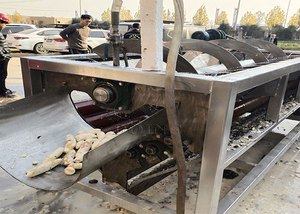 Usine de transformation de la <span class=keywords><strong>farine</strong></span> de <span class=keywords><strong>manioc</strong></span> avec capacité d'entrée de 5 TPD, ligne de production HQCF - Product Image 2