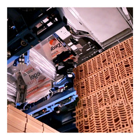 Emballage complètement automatique d'emballage de brique de palette de Hooder de machine de capsulage d'étirement à froid