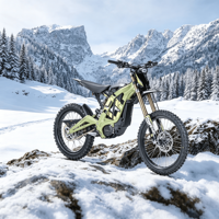 En stock entrepôt : Moto tout-terrain Sur-Ron LBX DDP, Moto électrique Sur Ron Light Bee homologuée pour la route