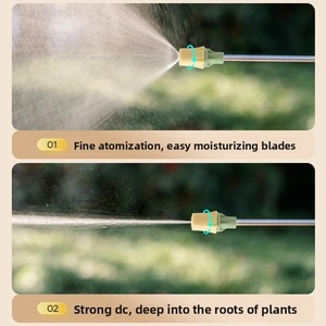 Pulvérisateur à pression d'air spécifique au jardinage, petite arrosoir domestique pour plantes succulentes, outil d'arrosage des fleurs, arrosoir - Product Image 4