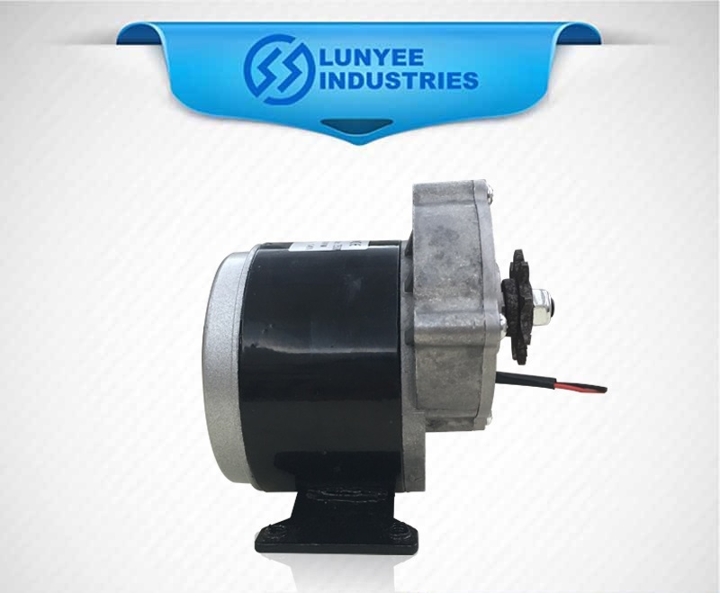 LUNYEE 24V DC 350W Gear Motor Permanent Magnet Motor,MY1016Z3 Wheelchair Motor,Low RPM Motor Electric Motor High Torque DC Motor Go Kart Electric Motor