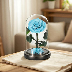 Fleur éternelle petit Prince unique Rose fait à la main conservé anniversaire et saint valentin cadeau usine cheveux raides couverture en verre - Product Image 2