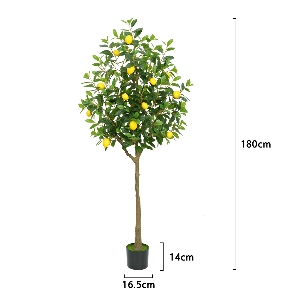 VERDE-6FT