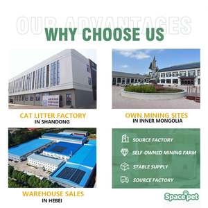 Mehrere Duftarten Staubfreie Katzenstreu Biologisch Abbaubar 10/20/25L Parfümiert Mehrere Farben Lösliche Pflanzen-Tofu-Katzenstreu - Product Image 2
