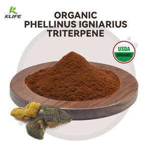 Wholesale Pure Natural Polysaccharide Phellinus Igniarius Herbal <strong>Extract</strong> <strong>Powder</strong> Wild-Cultivated Food Vacuum Packed Drums - Product Image 4