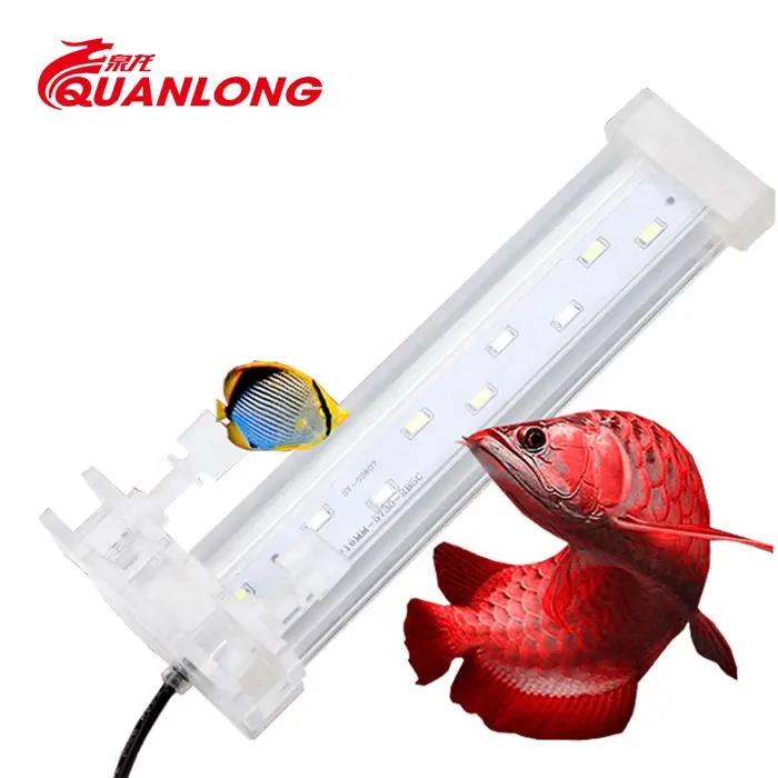 Zhonghu quanlong lâmpada de aquário pequena led, iluminação para tanque de peixes