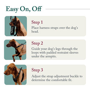 <b>No</b> <b>Pull</b> Dog <b>Harness</b>-Medium Size Red Mesh Durable Nylon Breathable Lightly Padded Soft Easy Heavy Duty Outdoor Use - Product Image 3