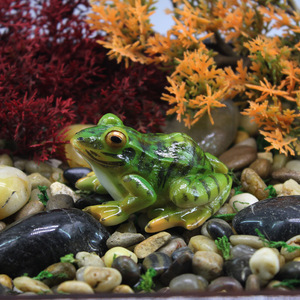 DD4065 Artificielle Miniature Grenouille Figurine pour Fish Tank Fée Jardin ou Intérieur/Extérieur Décor <span class=keywords><strong>Tortue</strong></span> Statue Ornement - Product Image 2