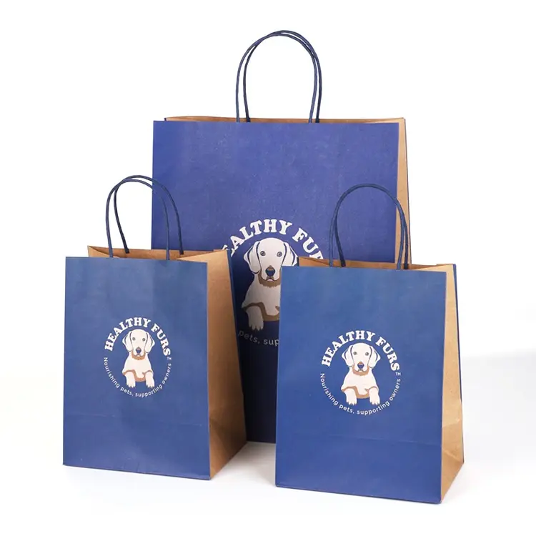 Kraft Paper rope Handle Carrier Bag custom With Logo Printed paper bags for clothing gift bag