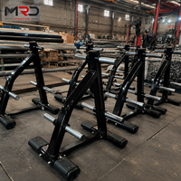 Support de rangement robuste et durable en acier pour plaques de poids, idéal pour les salles de sport et les clubs de fitness