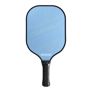 Kit de pickleball de voyage compact et portable en fibre de verre pour les vacances à la plage, prêt à l'emploi, avec raquettes et balles, kit professionnel - Product Image 6