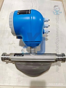 Débitmètre Coriolis Endress Hauser Proline Promass E 300 Série 8E3B25 E+H HART Smart Coriolis - Product Image 2