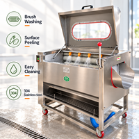 Machine de nettoyage à rouleaux pour légumes, pour l'élimination de la boue, le lavage et le pelage