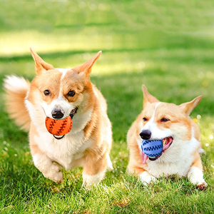 ของเล่นสุนัขแบบลูกบอลยางธรรมชาติ ทนทาน สำหรับทำความสะอาดฟันและเป็นขนม - Product Image 5