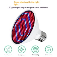 Ampoule LED 2835 pour la culture des plantes, spectre complet rouge-bleu pour serre, légumes d'intérieur, plantes succulentes, culture de semis