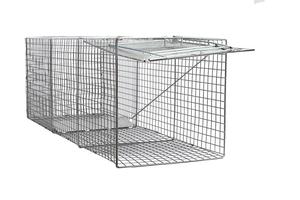 Trampa de animales de una puerta de estilo profesional pequeño para ardilla, conejo, mofeta y visón - Product Image 2