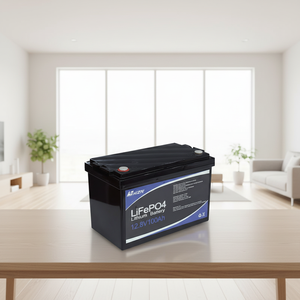 Batteria Solare a Ciclo Profondo LiFePO4, Pacco Batterie agli Ioni di Litio per Camper 12.8V 100Ah 150Ah 200Ah 300Ah 1280Wh 1.28kWh - Product Image 1