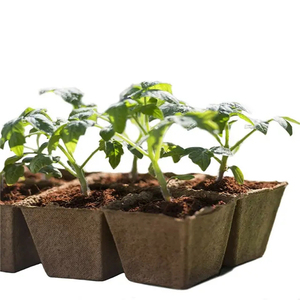 Vaso <span class=keywords><strong>de</strong></span> Papel Ecológico 100% Biodegradable <span class=keywords><strong>para</strong></span> Semillas, Bandeja <span class=keywords><strong>de</strong></span> Siembra, Maceta <span class=keywords><strong>de</strong></span> Turba <span class=keywords><strong>para</strong></span> Plantas y Plántulas - Product Image 5