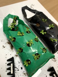 Sacs de culture verticaux pour fraises en plastique PE, 10 trous, pochettes de plantation pour herbes, fleurs, légumes, décoration de balcon et de jardin - Product Image 4