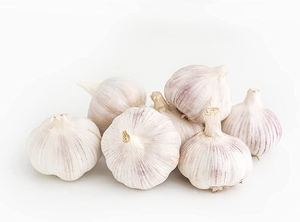 Nueva Venta de Ajo Blanco Orgánico, Gran Cantidad Disponible para Exportación con Precio Competitivo en el Mercado, Producto de Ajo Fresco - Product Image 5
