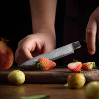 5 Inch 67-Laags Damascus Stalen Mes, Scherp Voor Schillen/Snijden, Keuken Fruit/Groente Prep Tool
