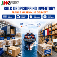 Fret maritime DDP Chine vers France pour le dropshipping, l'inventaire en gros et l'expédition porte-à-porte depuis l'entrepôt
