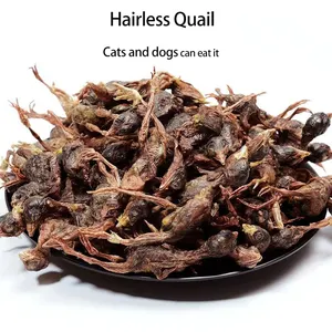 Rich In Lecithin High Protein Low Fat Cat And Dogs Delicious Freeze Dried Little Quail Snacks Training