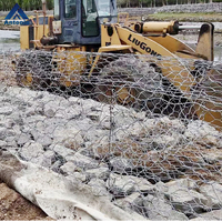 Muro de Gabiones Soldados para Paisajismo, Jaula Decorativa para Villas y Parques, Malla Hexagonal Galvanizada Reforzada con Acero, Antiexplosión, Plegable y Cortable
