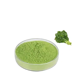 Werkseitig hochwertiges Bio-Grünkohl pulver Gemüse pulver Grün pulver