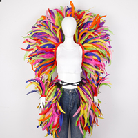 Ensemble de 3 plumes arc-en-ciel, costume en plumes fait à la main pour défilé de carnaval, spectacle de scène d'Halloween, festival, cosplay, accessoire photo