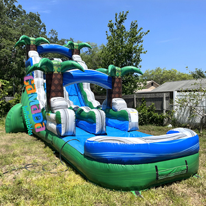 Toboggan aquatique gonflable commercial à thème palmiers tropicaux, pour extérieur, à prix réduit - Product Image 1