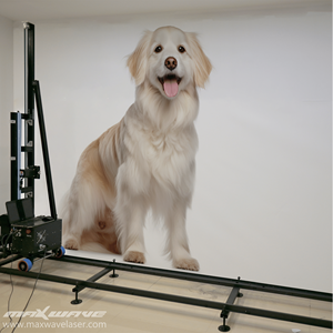 Máquina de pintura de papel tapiz directo de alta definición, impresora de inyección de tinta 5D, Impresión de Mural de pared, limpieza automática - Product Image 4