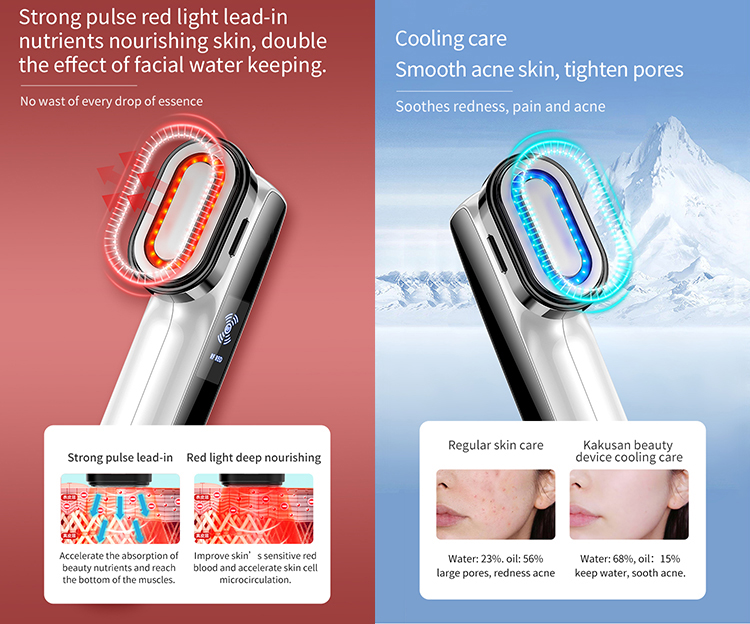 Facial Mesotherapy Electroporation LED Photon RF Face Lifting Tightener Machine