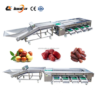 Fabrieks productie fruit sorteermachine kersen/sinaasappel/peer/jujube/knoflook sorteermachine dadelpalm sorteermachine