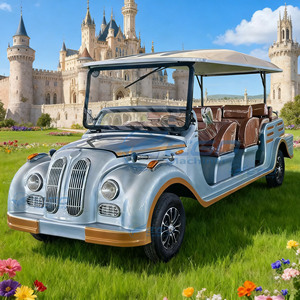 Carro de Turismo Clásico de Alta Calidad, Buggy Antiguo de Alta Gama Personalizado, Carro Eléctrico Vintage de 11 Asientos para Turismo - Product Image 2