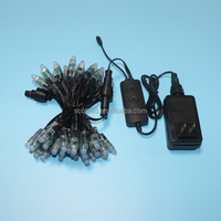 Guirlande lumineuse 2023 LED 12V pour décoration extérieure, nouvelle collection 100