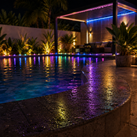 Guirlandes lumineuses LED à changement de couleur RGB 5M IP67 étanches pour décoration de Noël en extérieur, lumières en forme de galets, batterie, télécommande par application