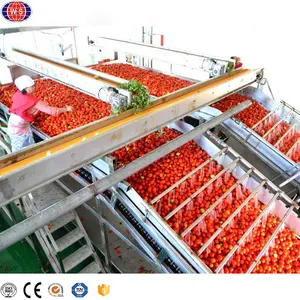 토마토 페이스트 만들기 기계 토마토 가공 기계 자동 케첩 생산 라인