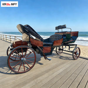 Carruaje de Caballos con Luces LED en Venta, Carruaje para Bodas y Navidad, Carroza de Lujo para Exteriores - Product Image 1